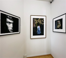 Grafikudstilling i Galerie Wolfsen, marts 2025